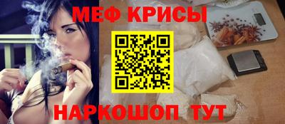 прущие грибы Гатчина