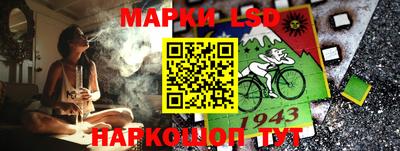 прущие грибы Гатчина