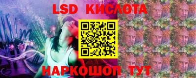 прущие грибы Гатчина