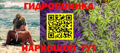 стафф Гагарин