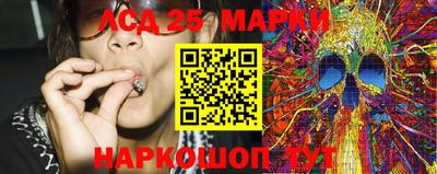 прущие грибы Гатчина