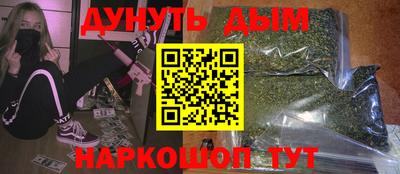 прущие грибы Гатчина