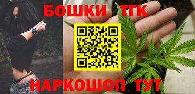 прущие грибы Гатчина